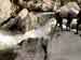 corse2001_2fiumorbo21