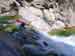 corse2001_3travo22
