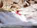 corse2001_3travo36