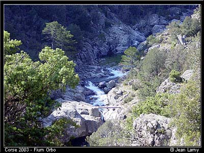 fiumorbo_a02jl