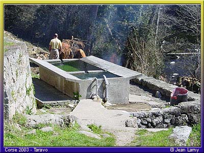 taravod_01jl