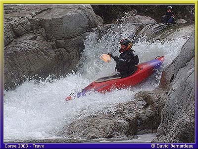 travor_46db