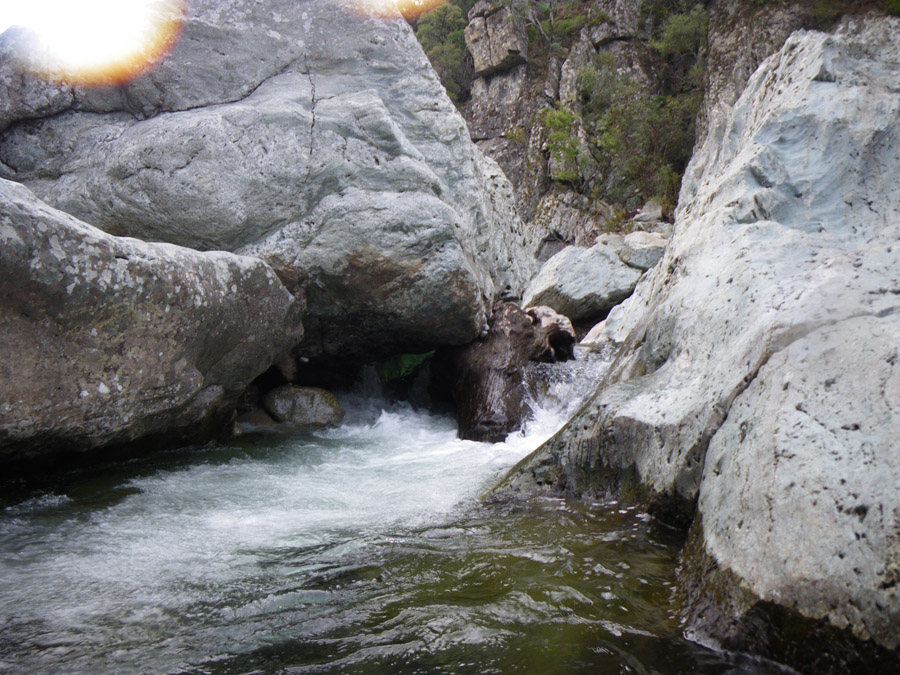 fiumorbo46