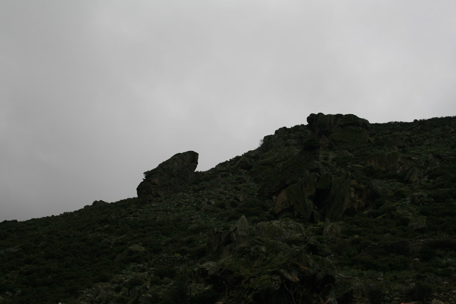 gologorges03