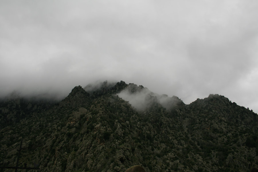 gologorges04