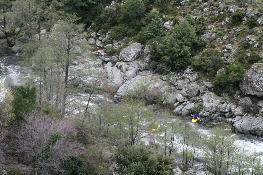 gologorges08
