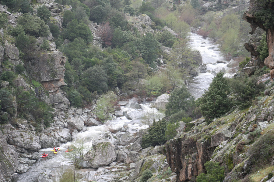 gologorges10