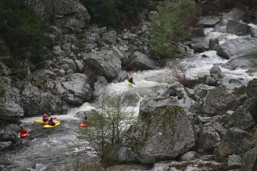 gologorges12