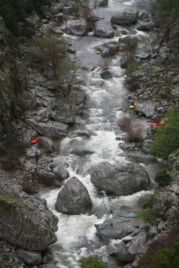 gologorges13