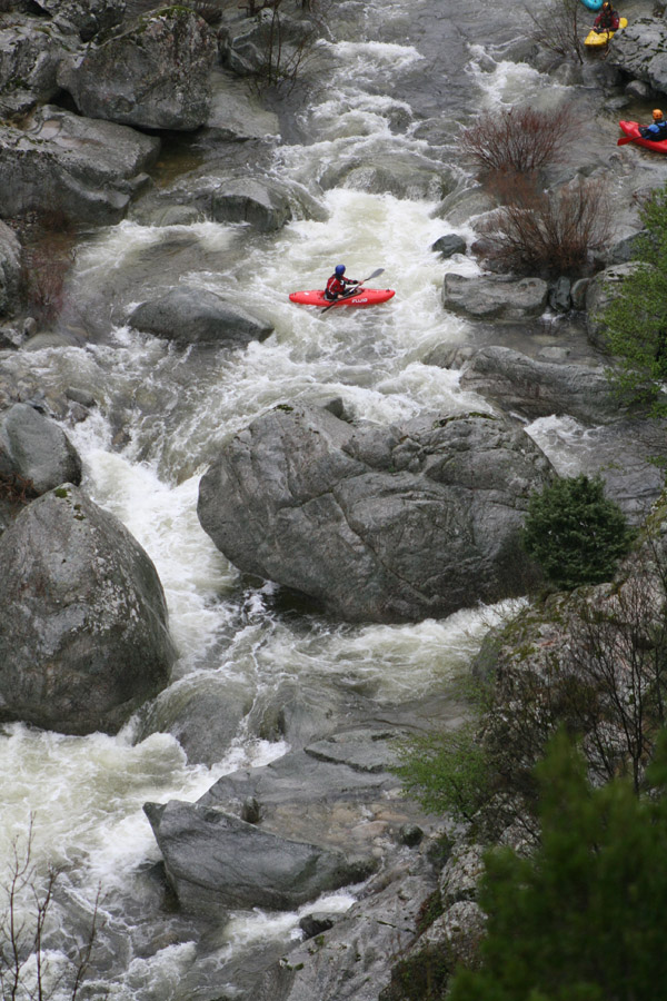 gologorges14