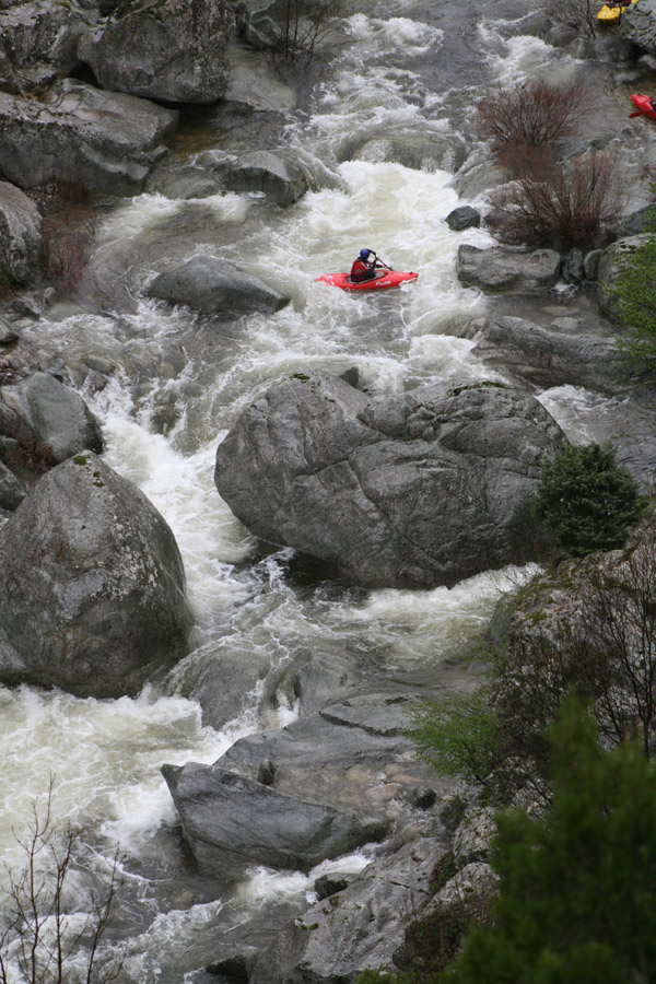 gologorges15