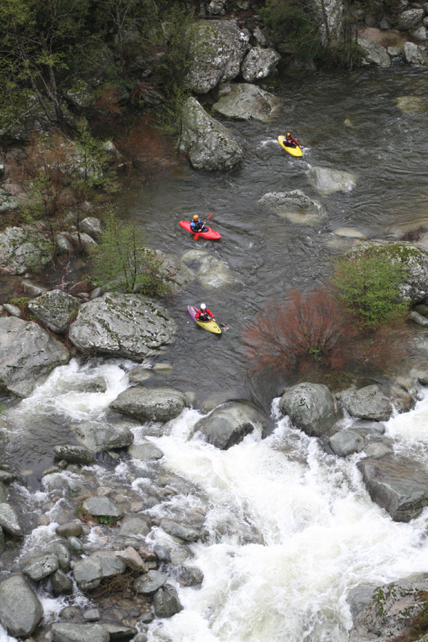 gologorges17