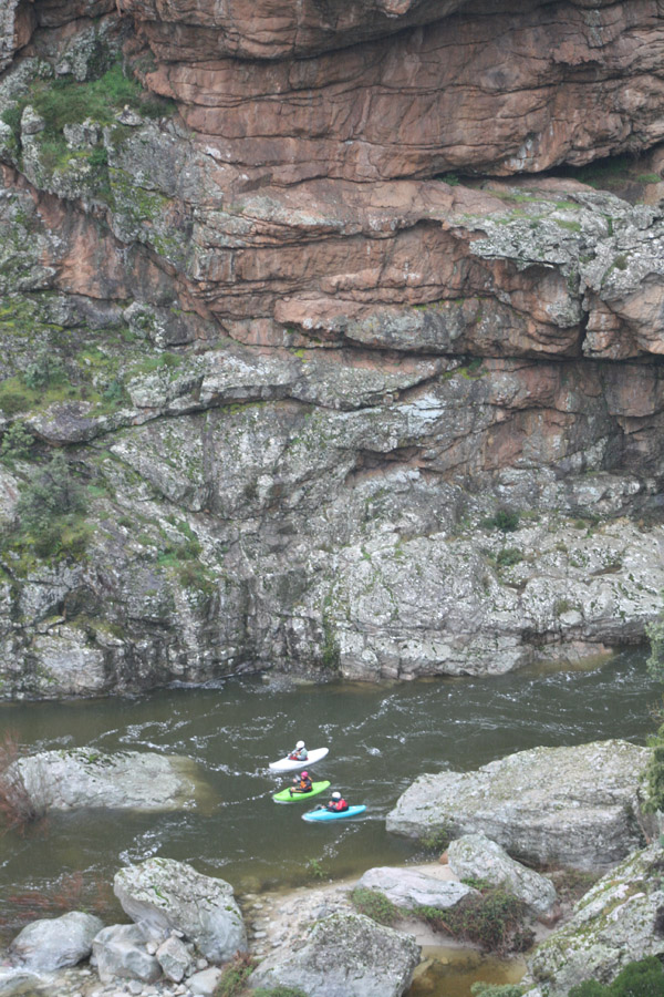 gologorges18