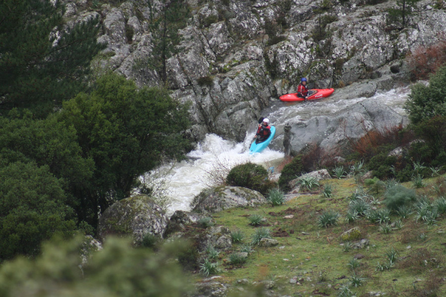 gologorges21