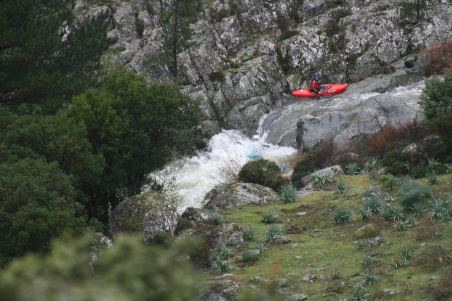 gologorges22