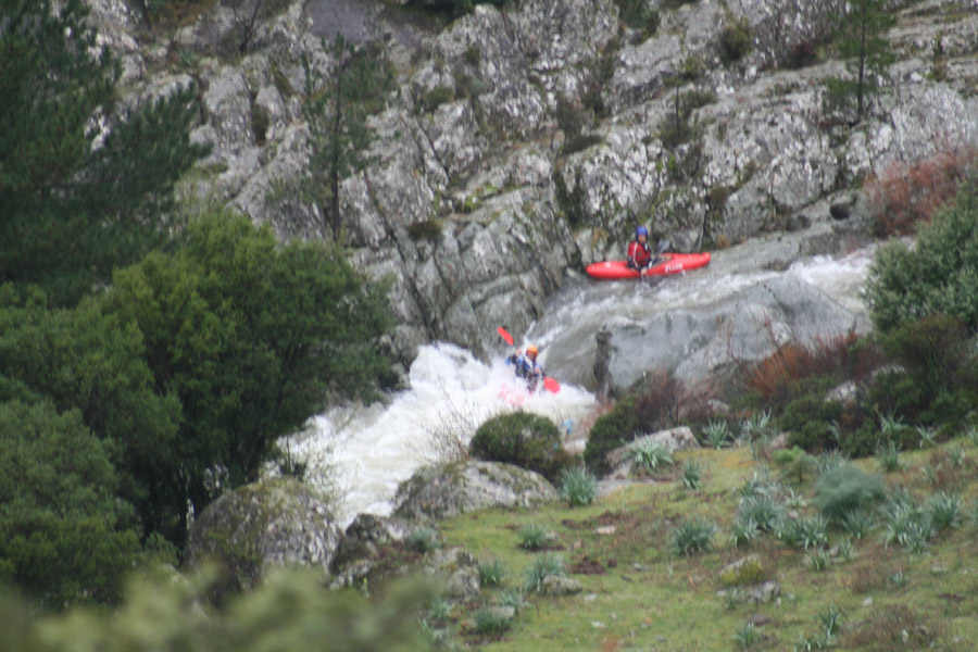 gologorges23