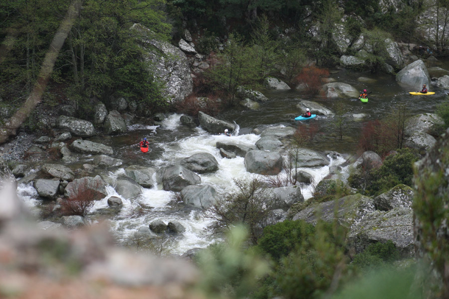 gologorges24