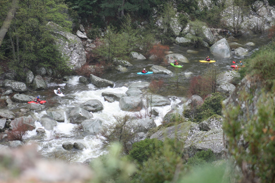 gologorges25