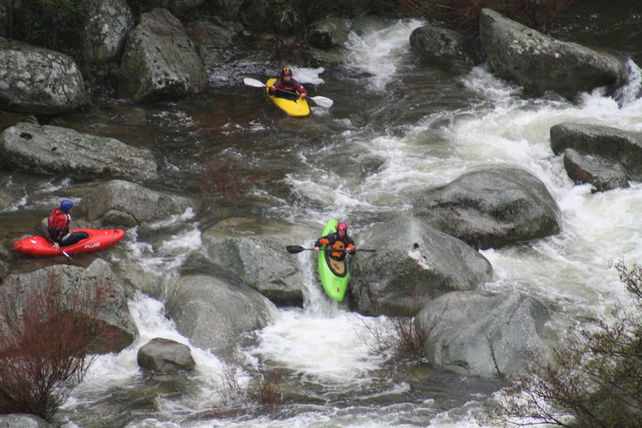 gologorges26