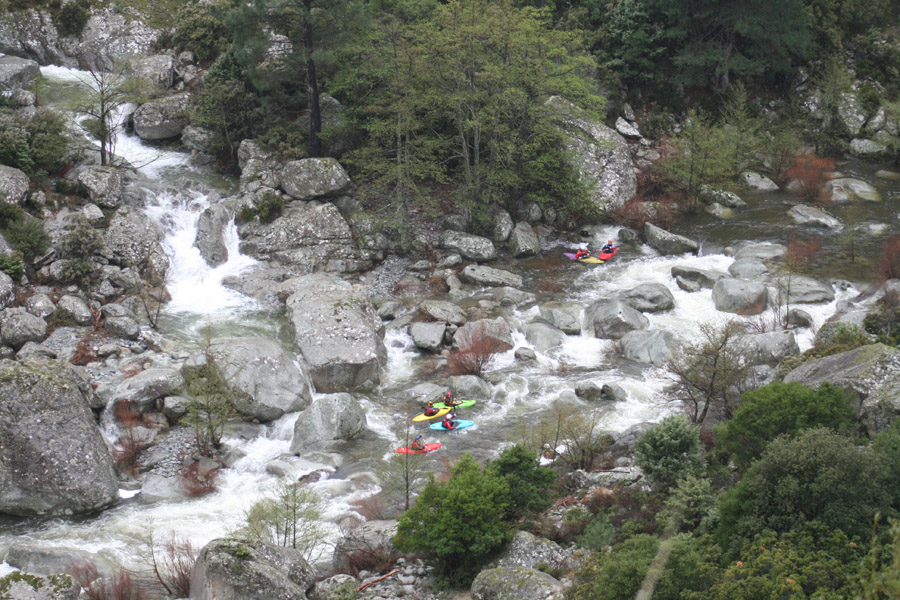 gologorges27