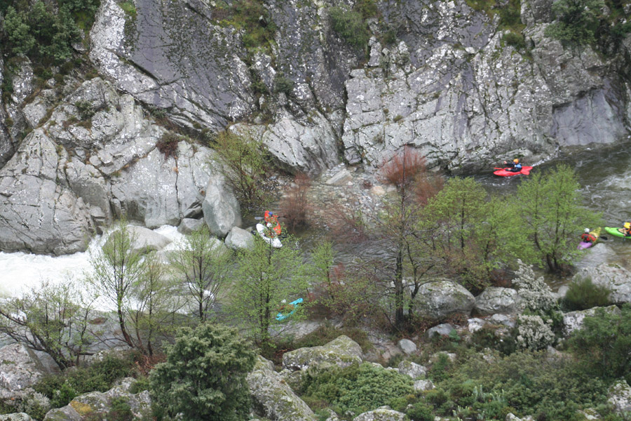 gologorges28