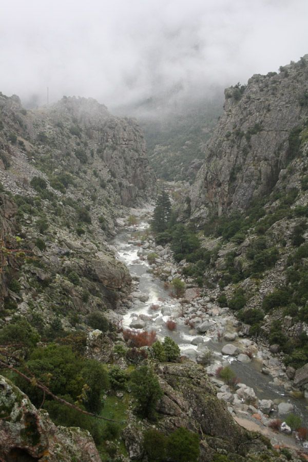 gologorges30