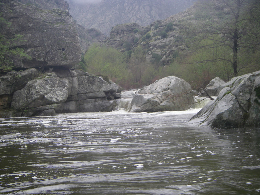gologorges36