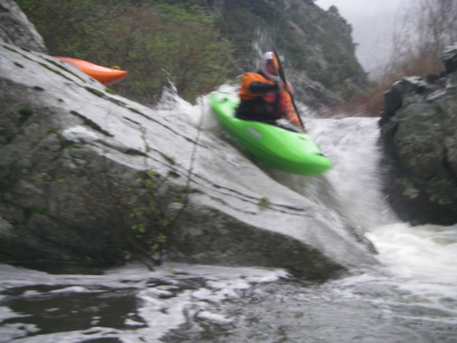 gologorges37