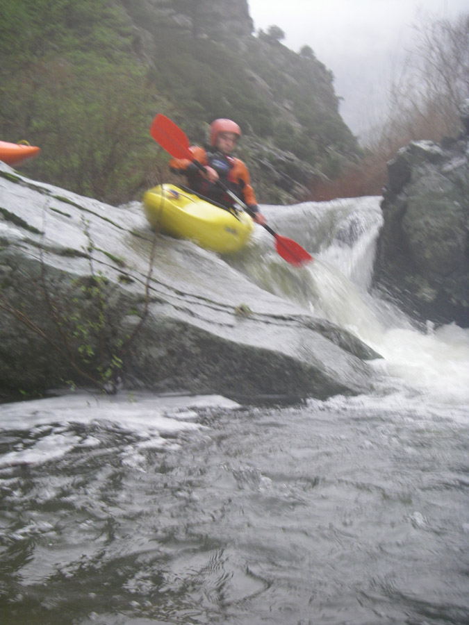 gologorges38