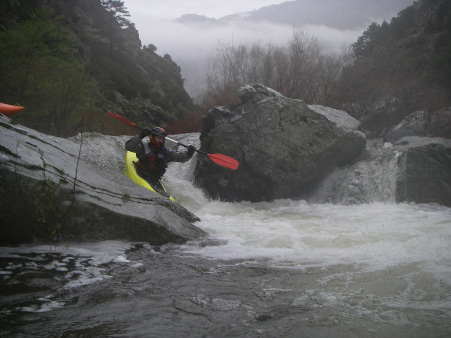 gologorges39