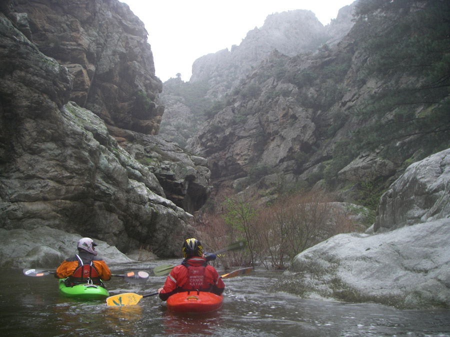 gologorges42
