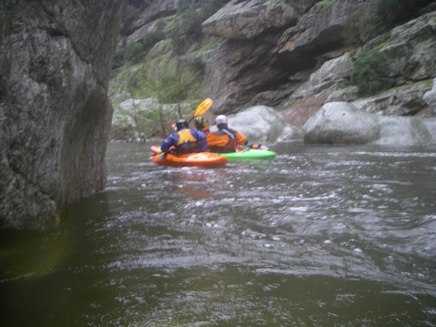 gologorges46