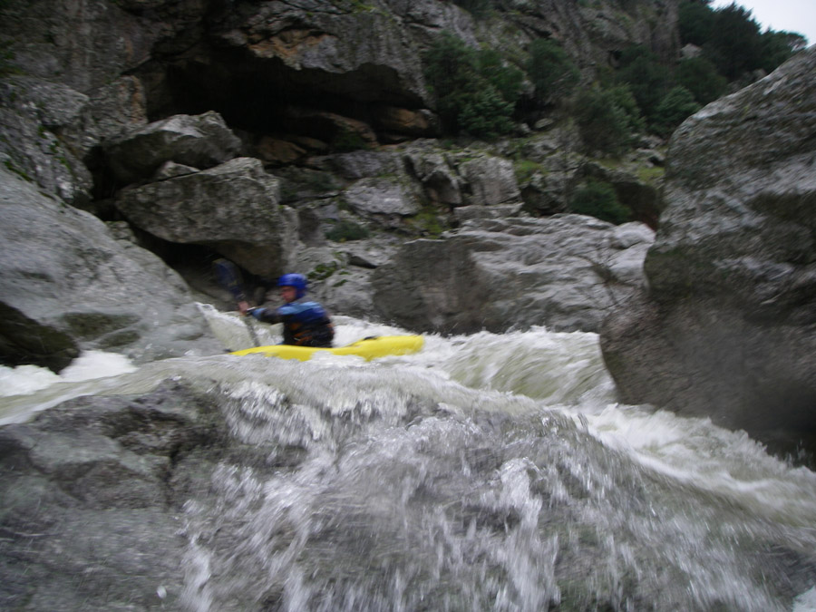 gologorges47