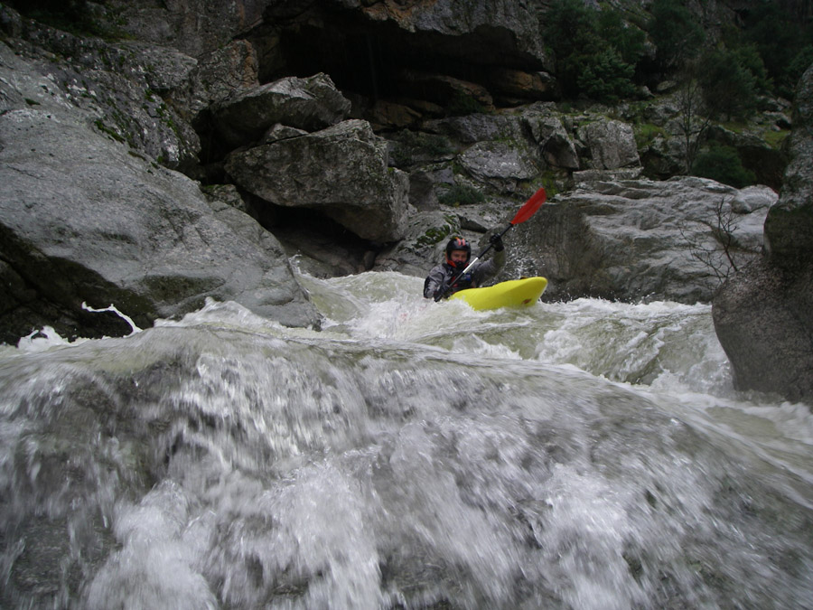 gologorges48