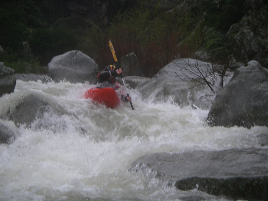 gologorges49