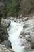 gologorges01