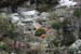 gologorges07