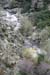 gologorges09