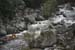 gologorges11
