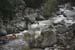 gologorges12