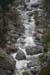 gologorges13
