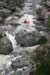 gologorges14