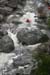 gologorges15