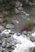 gologorges17