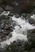 gologorges20