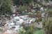 gologorges25