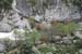 gologorges28