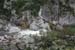 gologorges31