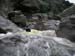 gologorges47