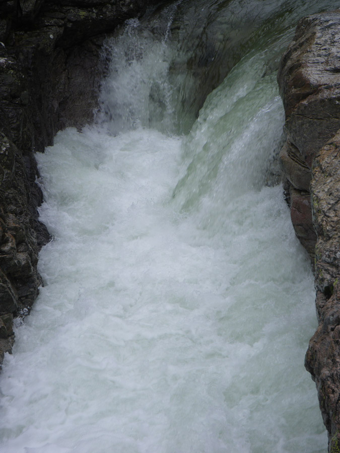 goloht018